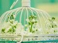 春季新鲜婚礼首选蒂芙尼蓝色主题婚礼