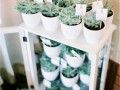 浪漫的婚礼结合经典和现代