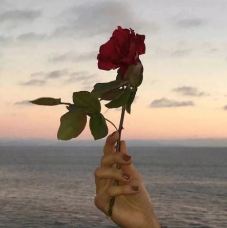 女朋友生日发多少红包好 红包情话如何发