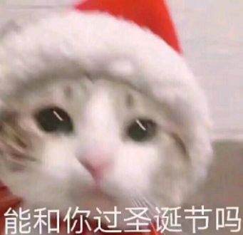 圣诞节送什么礼物给女朋友