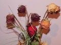 玫瑰花如何做成干花