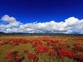旅游婚礼那里好？（非洲篇）