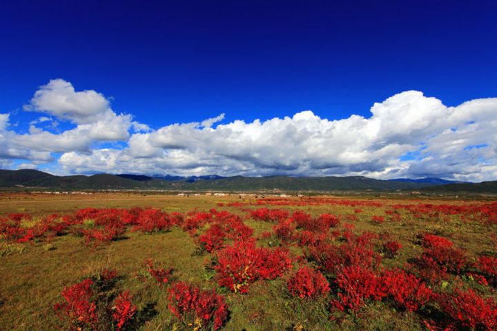 旅游婚礼那里好？（非洲篇）