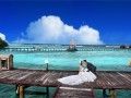 拍婚纱照轻易出现的其他花费有哪几种？你知道婚纱照有哪几种隐形花费吗？
