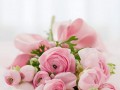 生日快乐的鲜花 生日送什么花最适合