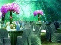 上海一站式婚宴酒店预定会所哪家更专业？目前就为大伙推荐几家