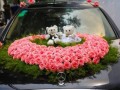 婚车装饰需要什么材料