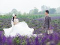 结婚典礼舞狮怎么样？收费标准